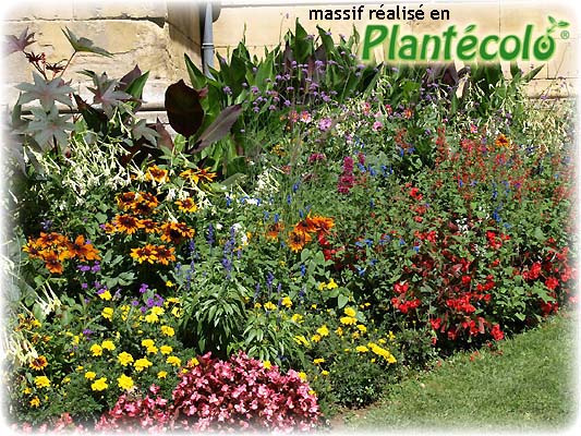 Réalisations avec Plantécolo